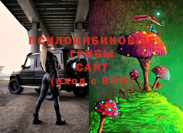 гашик Балабаново
