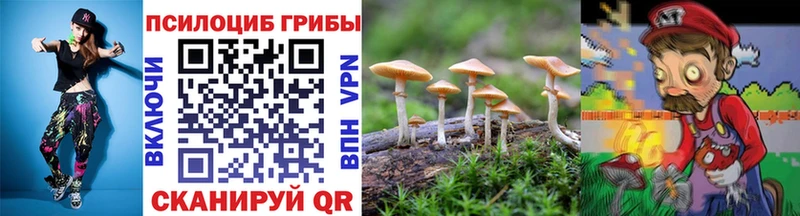 blacksprut ссылка  Севск  Галлюциногенные грибы ЛСД 